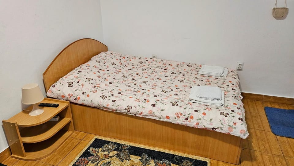Ultracentral Lozonschi Apartament Parter Apartment in Moldova