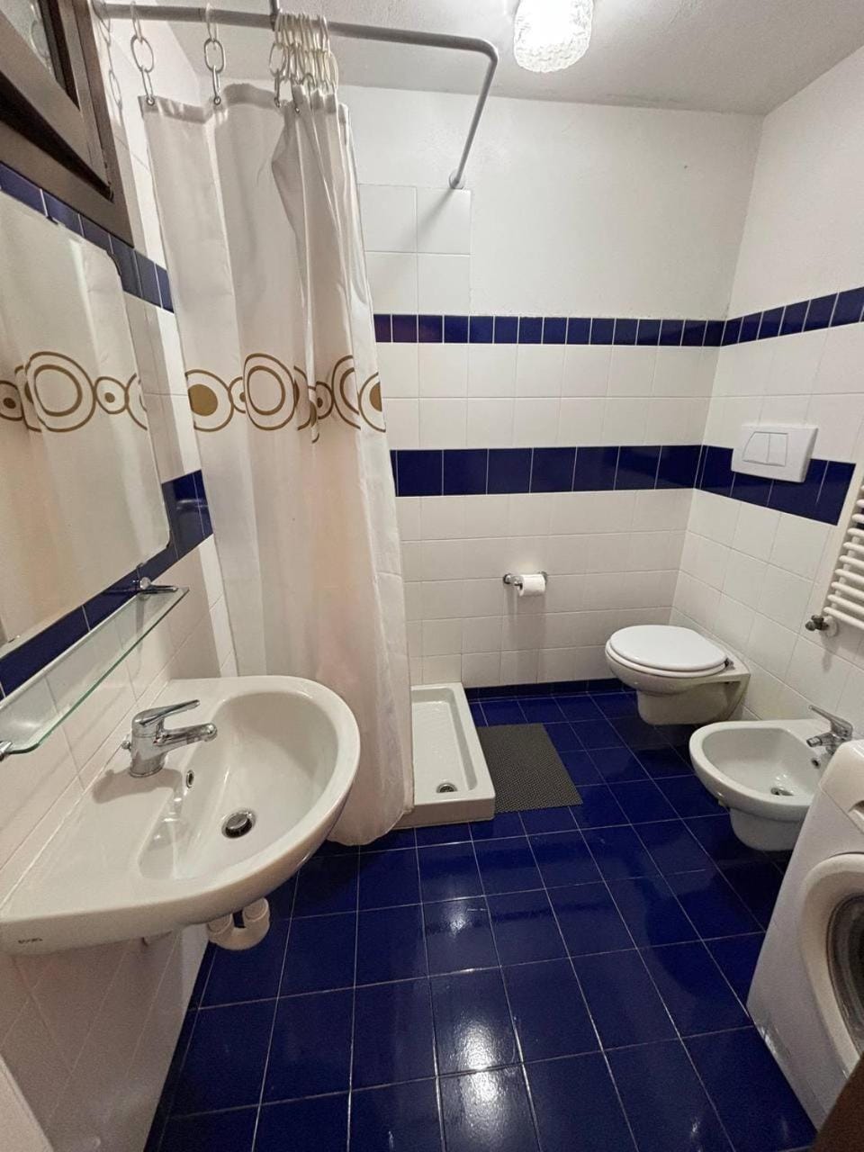 Shower, Toilet, Bathroom, bidet