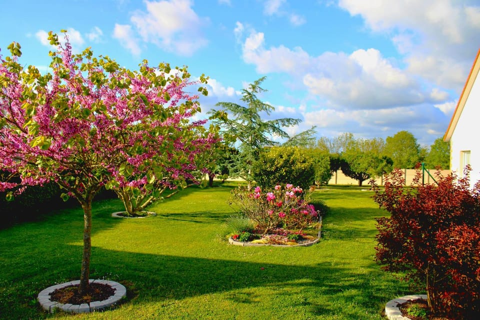 Property building, Spring, Day, Natural landscape, Garden, Garden, Garden view