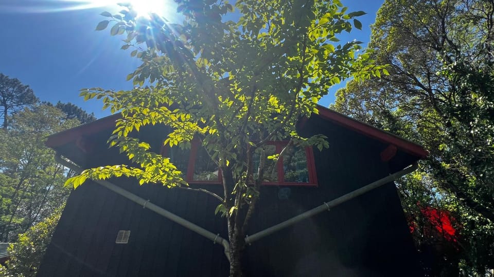 LeLoft au dessus des Pins Chalet in Lacanau