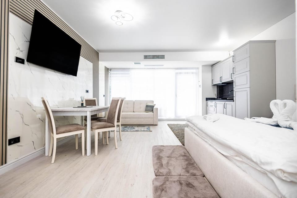 Bed, TV and multimedia, Kitchen or kitchenette, Photo of the whole room, Seating area, Dining area, Bedroom, air conditioner