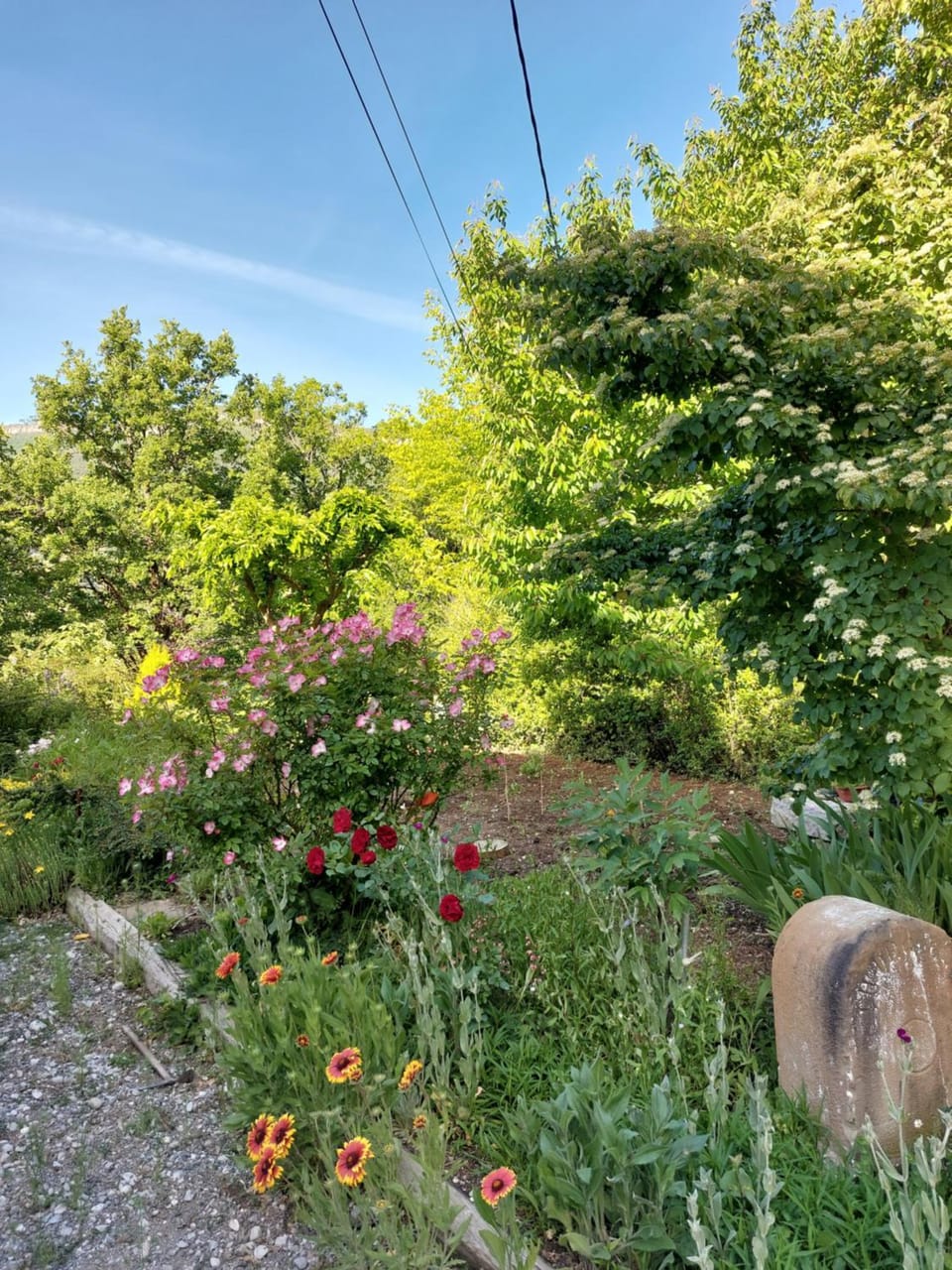 Natural landscape