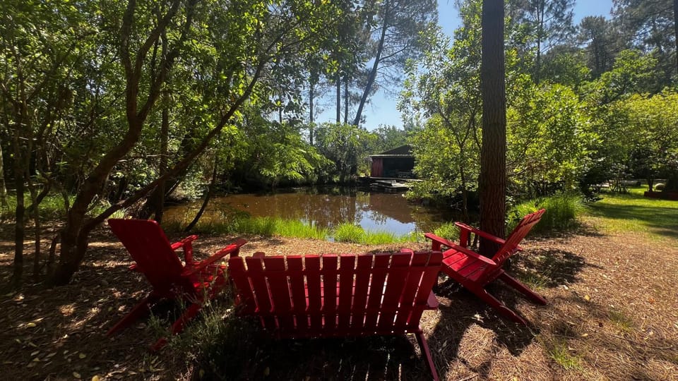 L'Aquarium de Proust sous les arbres Chalet in Lacanau