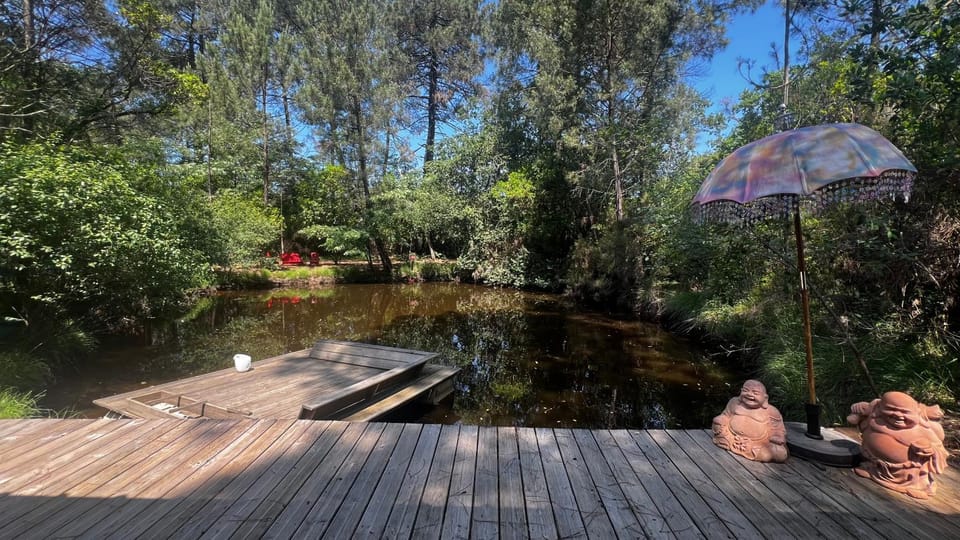 L'Aquarium de Proust sous les arbres Chalet in Lacanau