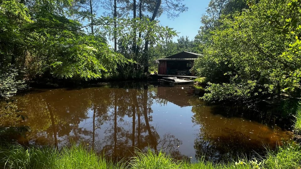 L'Aquarium de Proust sous les arbres Chalet in Lacanau