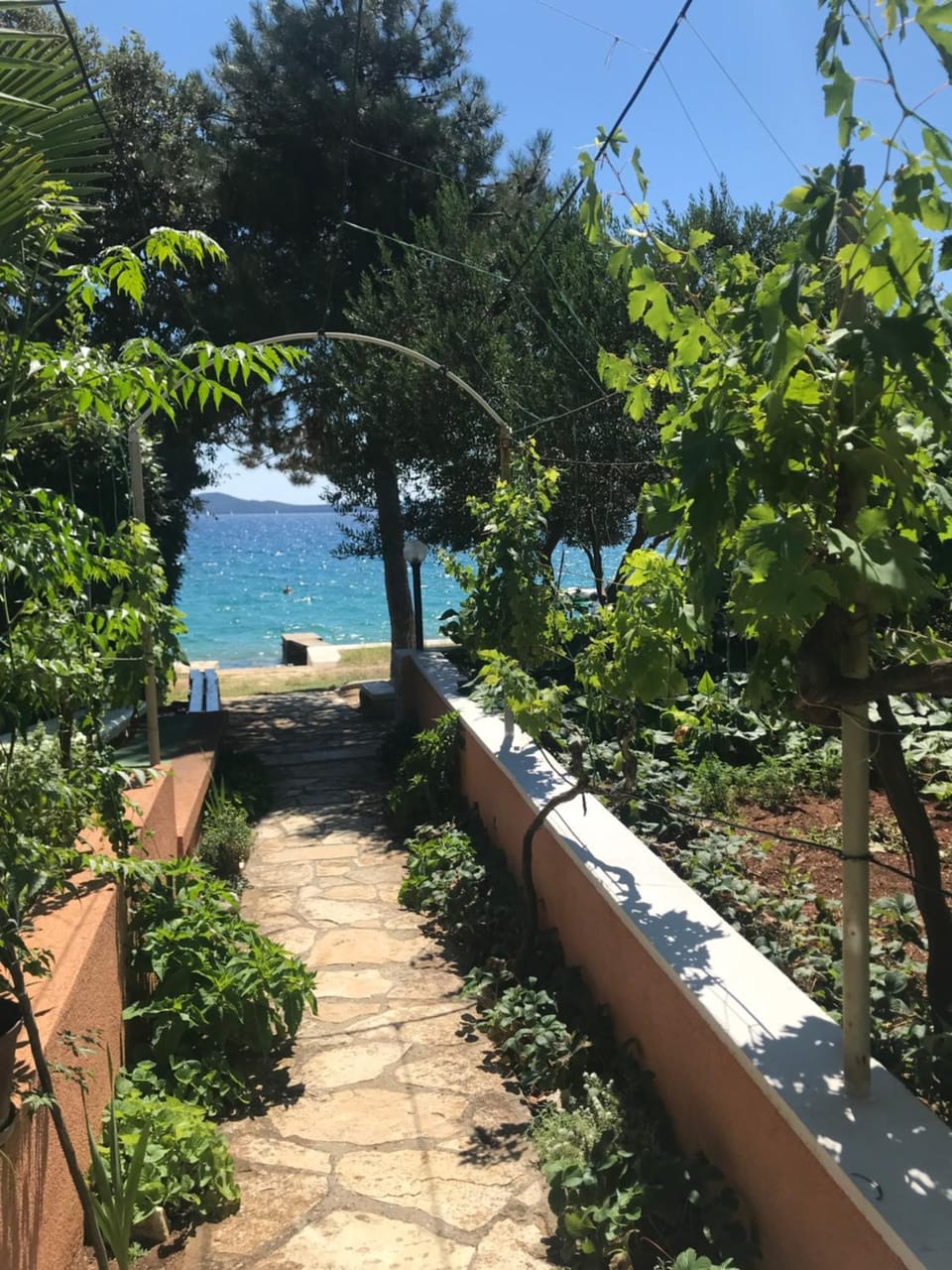 Garden view
