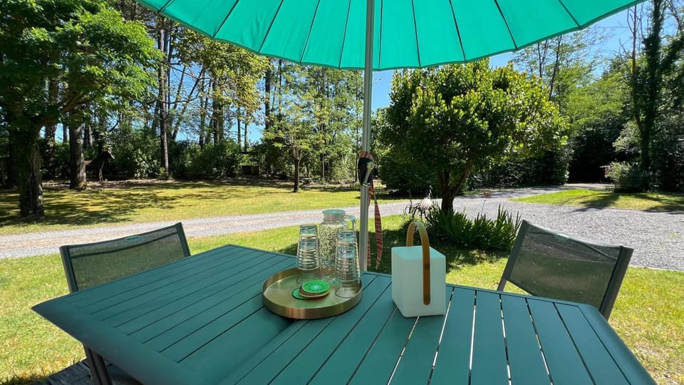La Grange au beau milieu des Pins Chalet in Lacanau