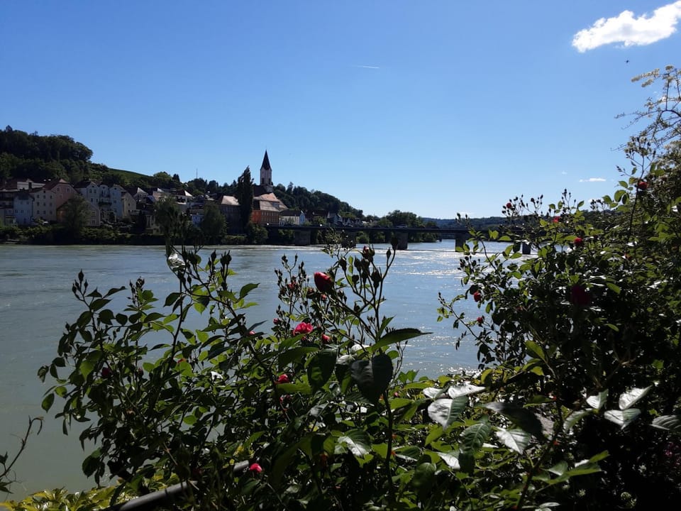 Pension Katzensprung Bed and Breakfast in Passau