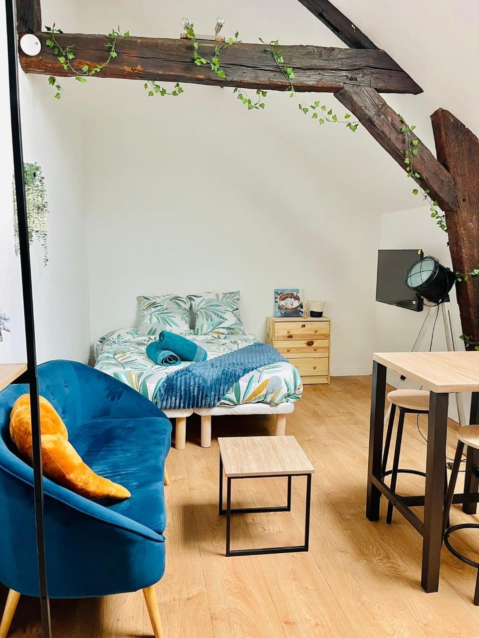 Le Nid Suspendu Apartment in Orléans