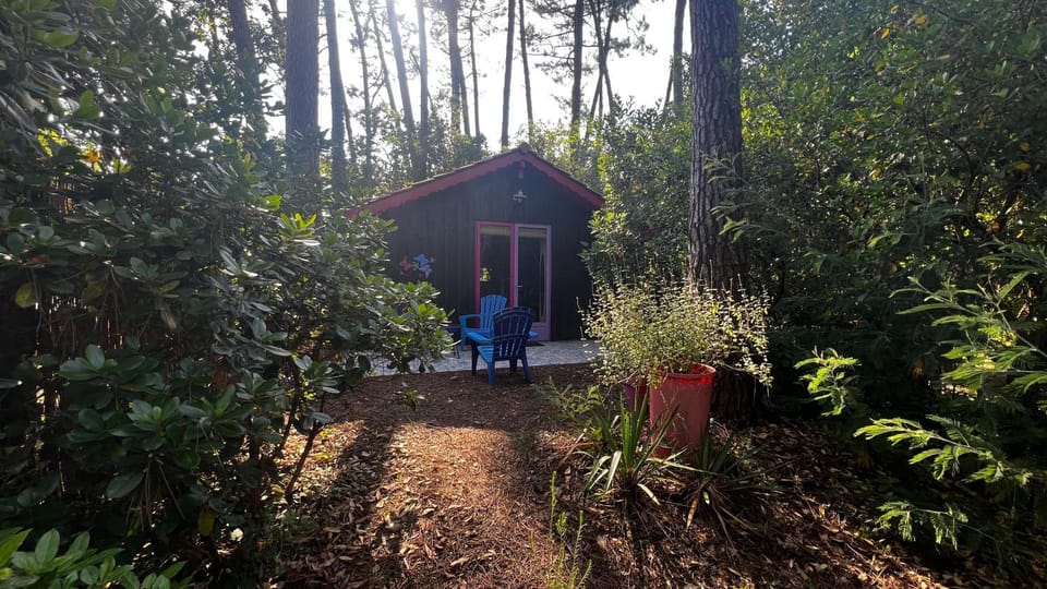 Le Cabanon entouré de Pins Chalet in Lacanau