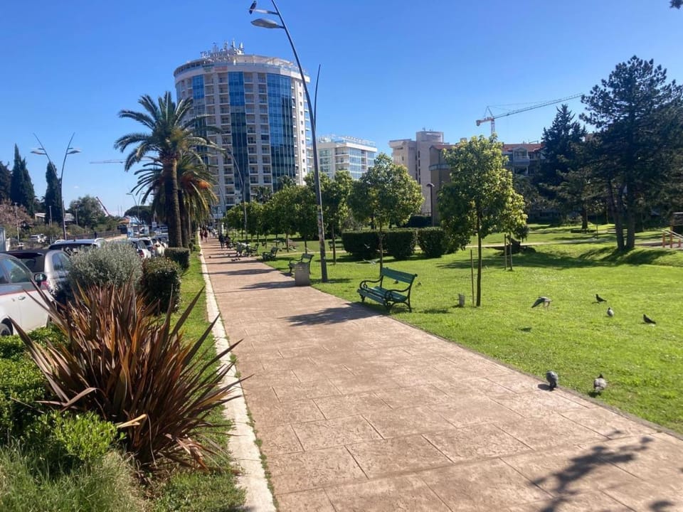 Spring, Neighbourhood, Natural landscape, Garden, City view, Street view