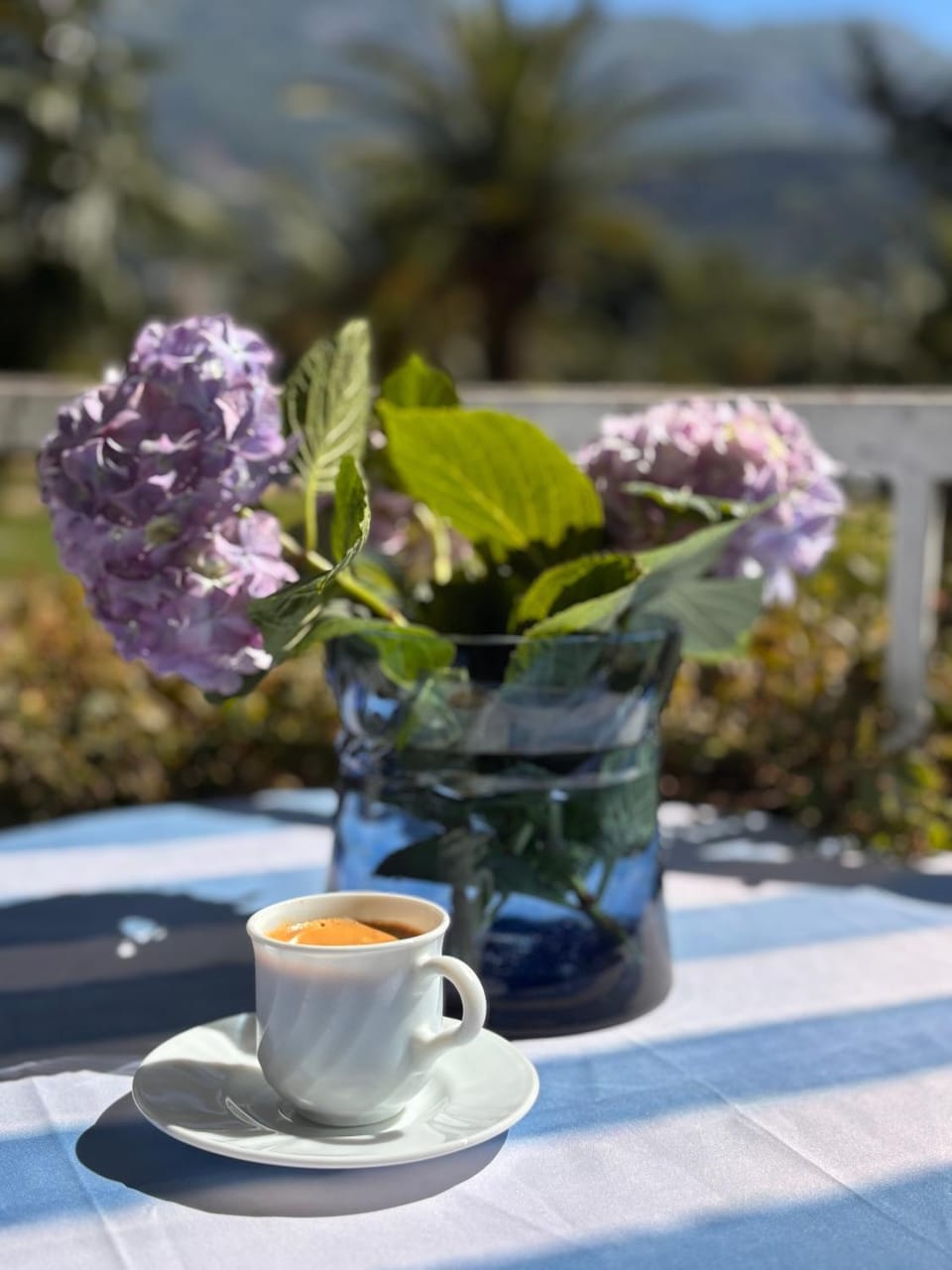 Day, Natural landscape, Coffee/tea facilities, Mountain view