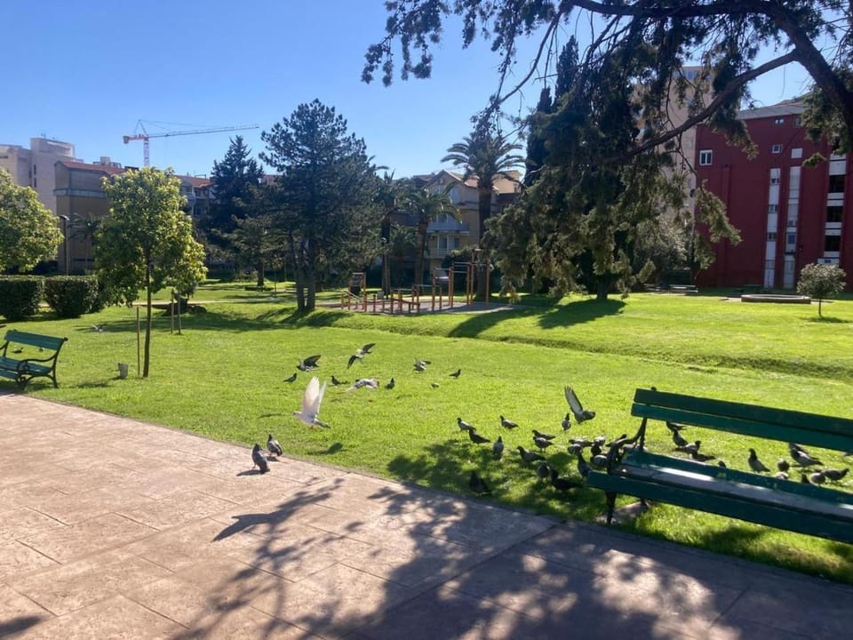 Spring, Day, Natural landscape, Garden