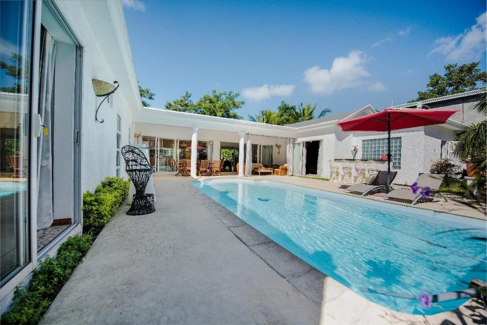 Day, Lounge or bar, Pool view, Swimming pool, sunbed