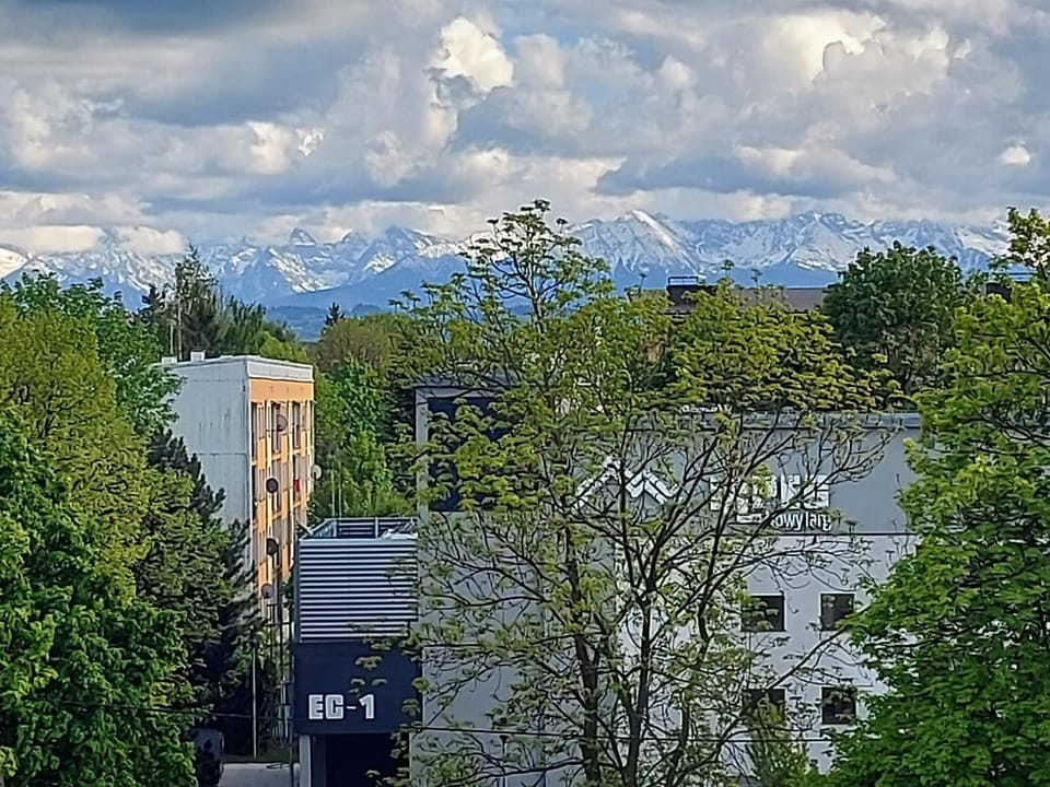Mountain view