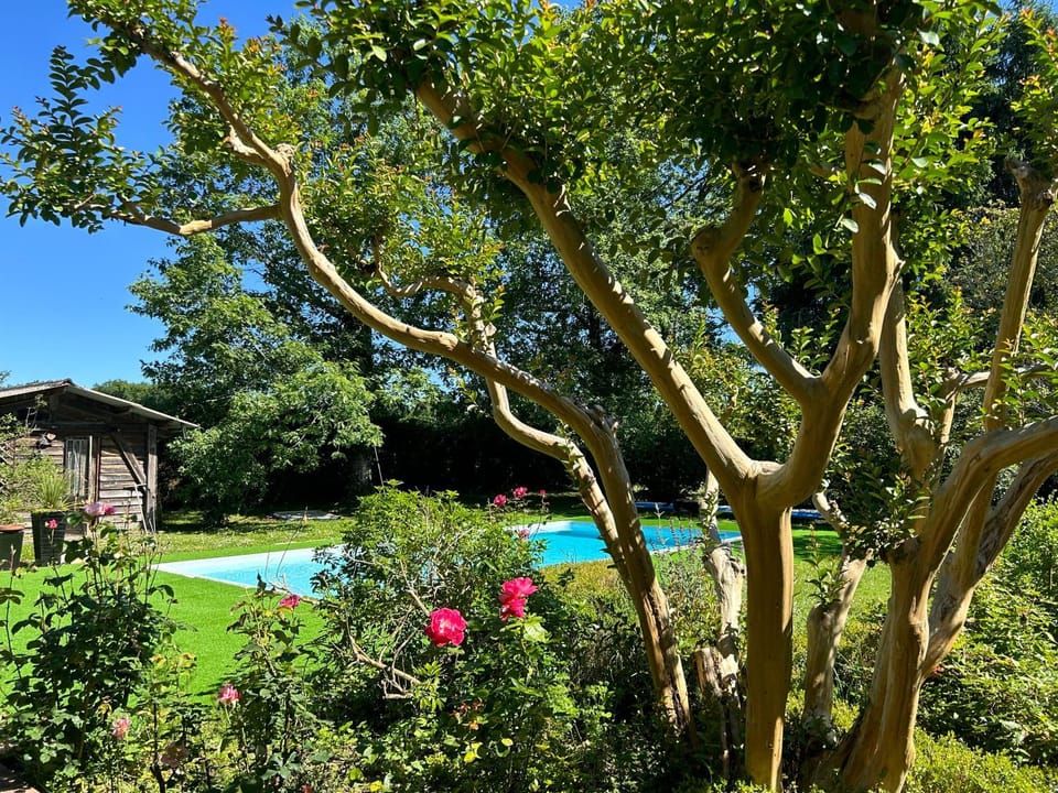 Pool view