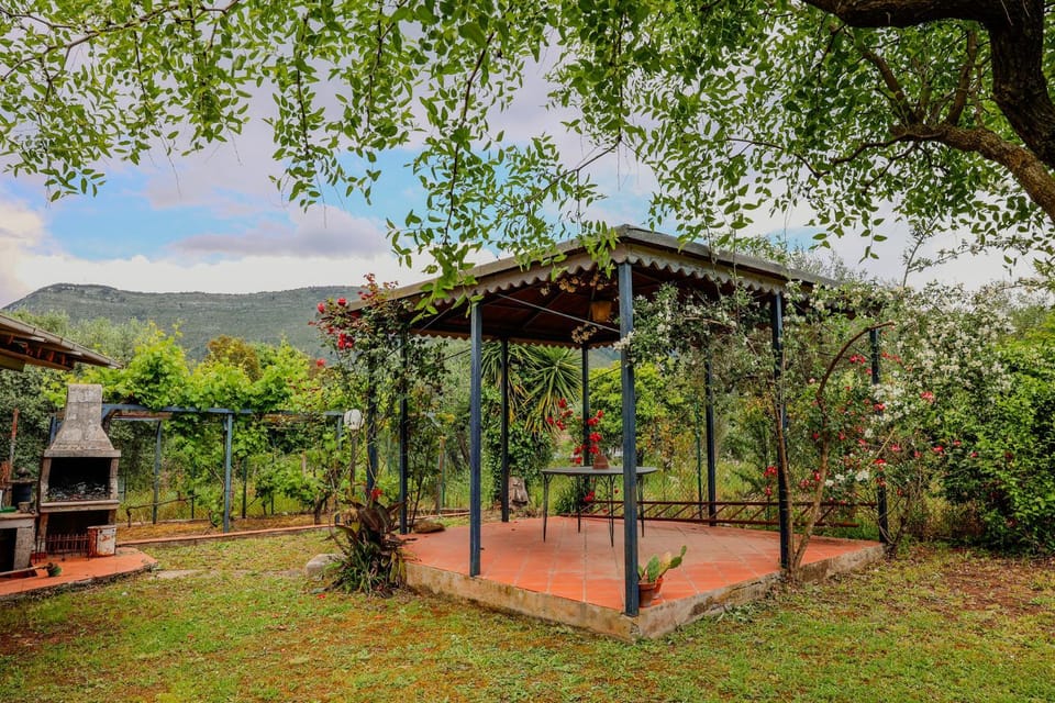 Patio, Garden view