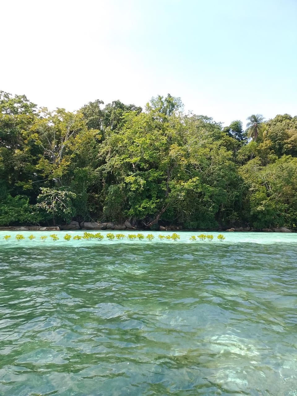 Homestay Yenbeyar Raja Ampat Vacation rental in Indonesia