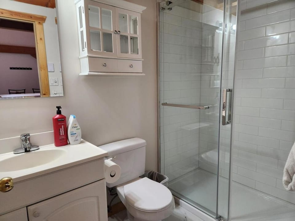 Alpenrose 4, Hottub, Mountains View, AC, sleep 5 Chalet in Columbia-Shuswap A
