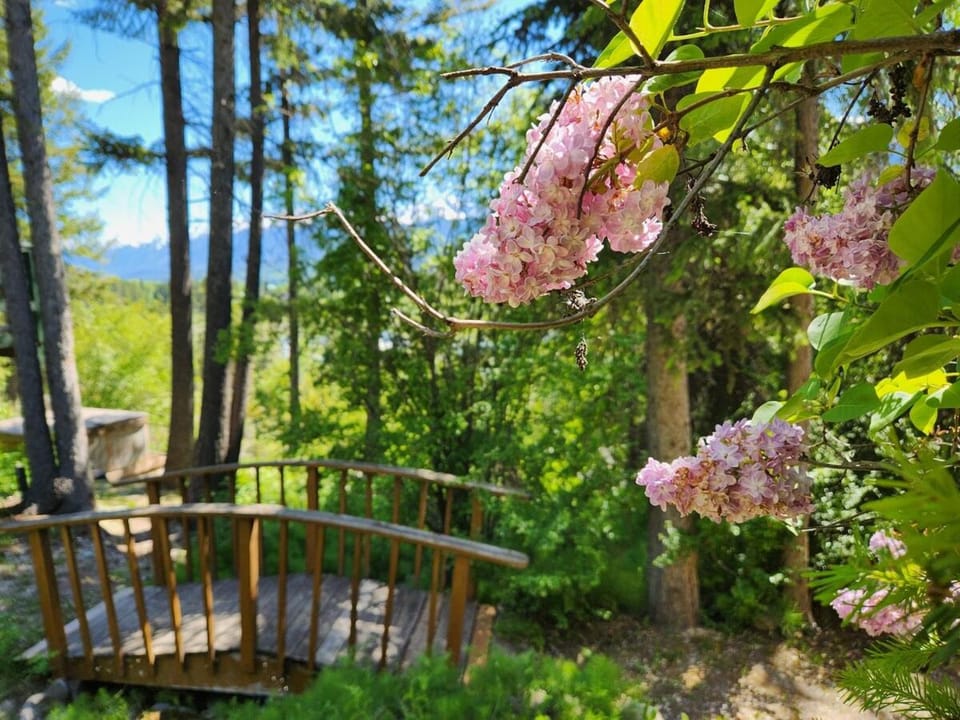 Alpenrose 4, Hottub, Mountains View, AC, sleep 5 Chalet in Columbia-Shuswap A
