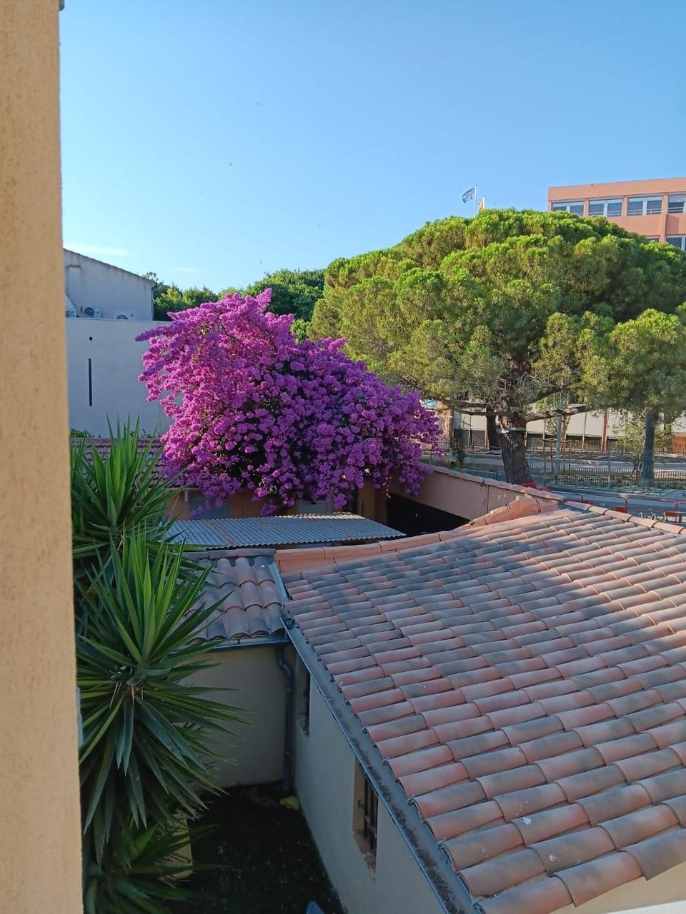 Patio, Balcony/Terrace