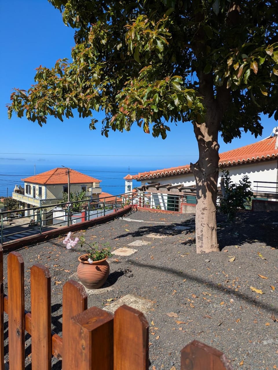 Garden, Sea view