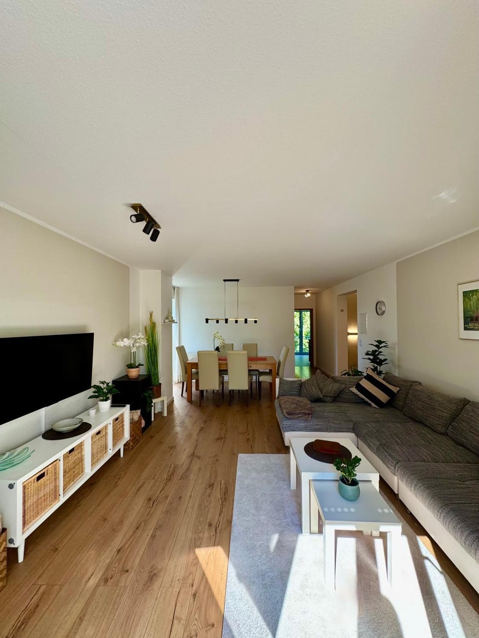TV and multimedia, Living room