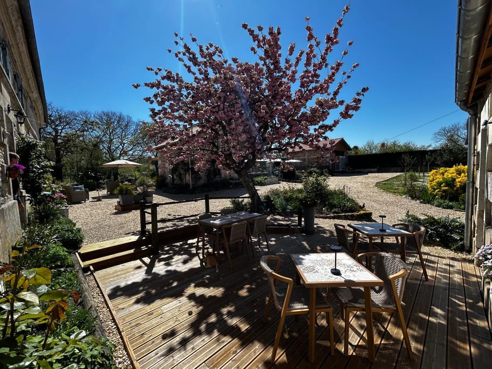 Day, Dining area, Garden view