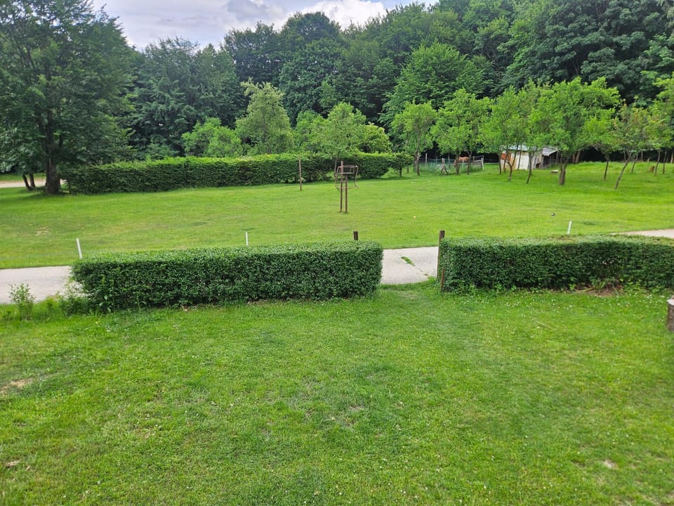 Garden view