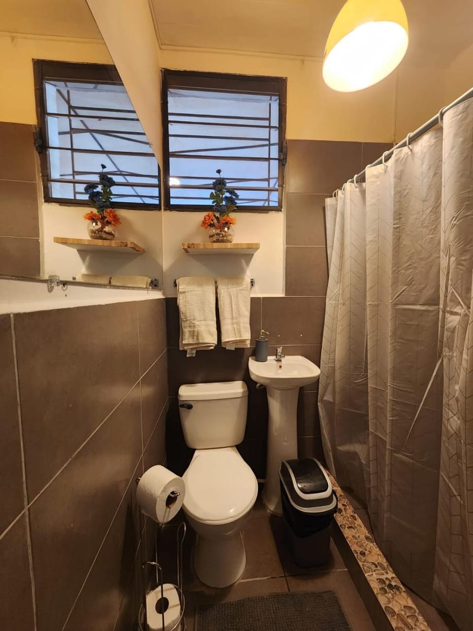 Shower, Toilet, Bathroom, bidet