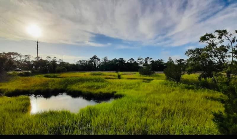 Blue Heron Trail Townhouse Apartment in Tybee Island