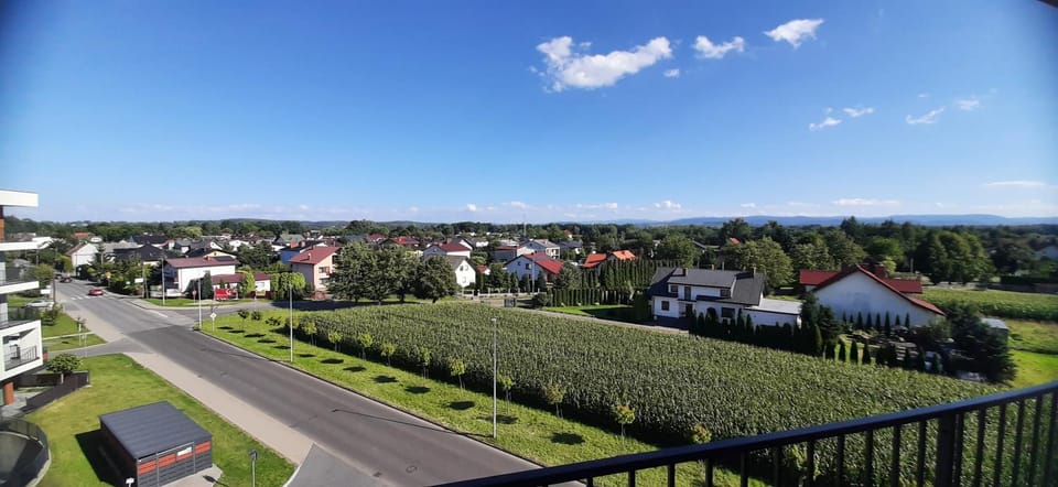 City view