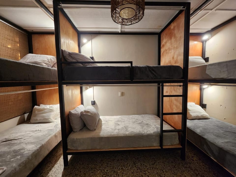 Bed, Photo of the whole room, Bedroom, bunk bed
