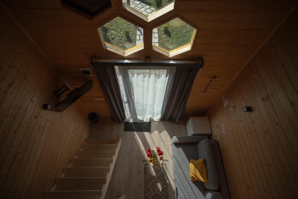 Living room, Guests