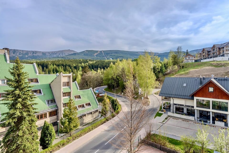 Property building, Spring, Day, Neighbourhood, Natural landscape, Bird's eye view, City view, Mountain view, Street view