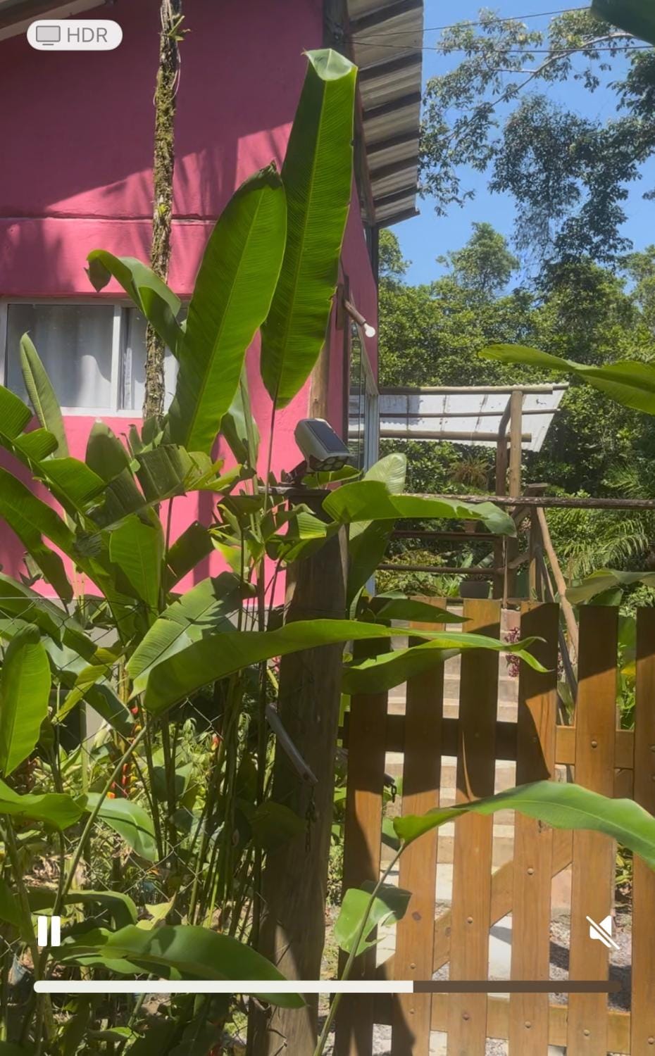 Chalé de vidro House in São Sebastião