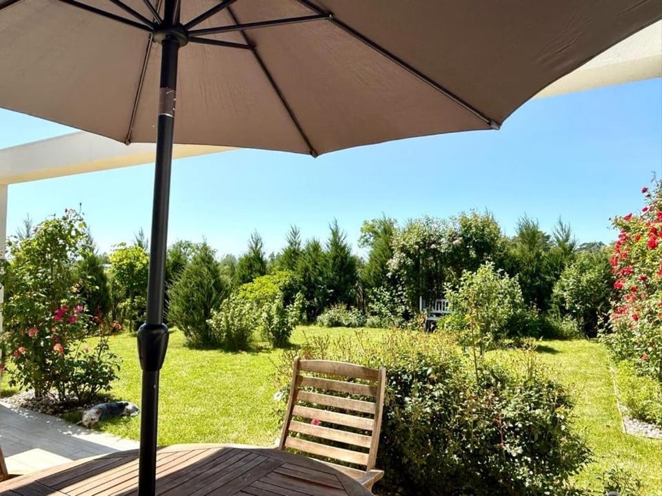 Day, Natural landscape, Garden, Garden, Garden view