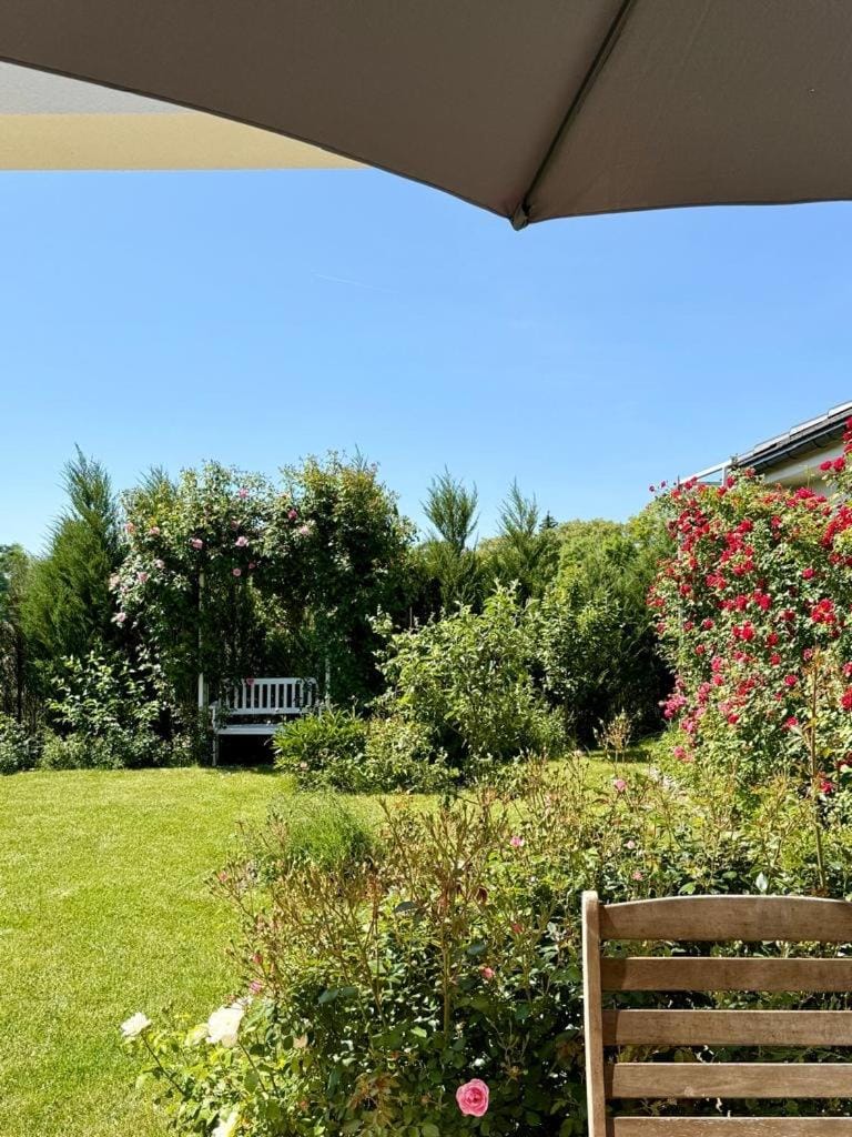 Day, Natural landscape, Garden, Garden, Garden view