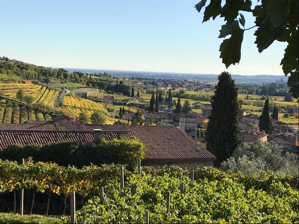Garden, View (from property/room)