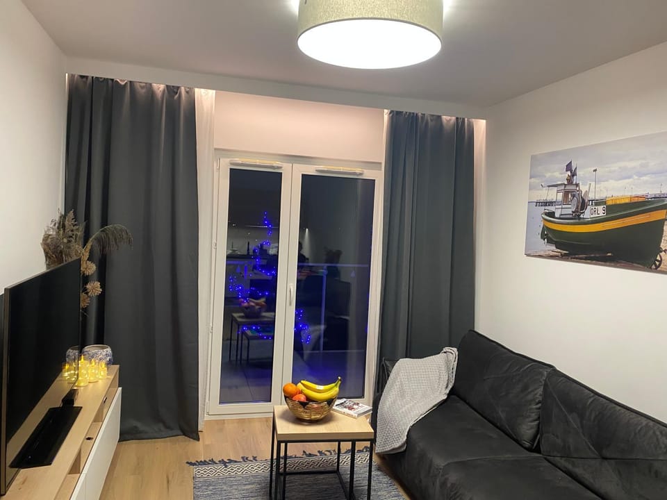 Communal lounge/ TV room, Balcony/Terrace, Living room, Seating area