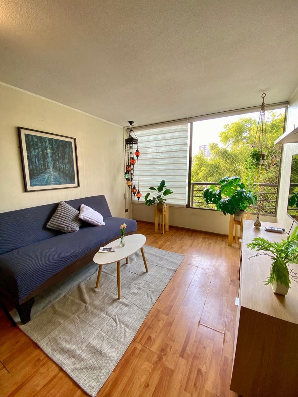 Departamento Moneda Apartment in Santiago
