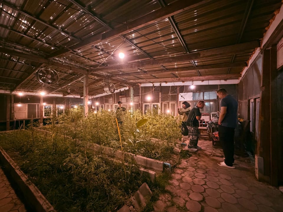 Muangkham Peaceandlove Farm Country House in Thailand
