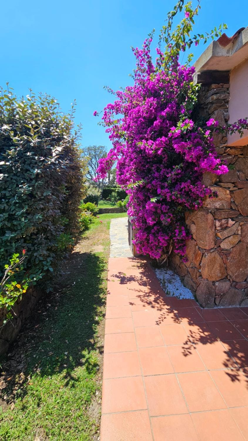 Day, Garden, Garden view