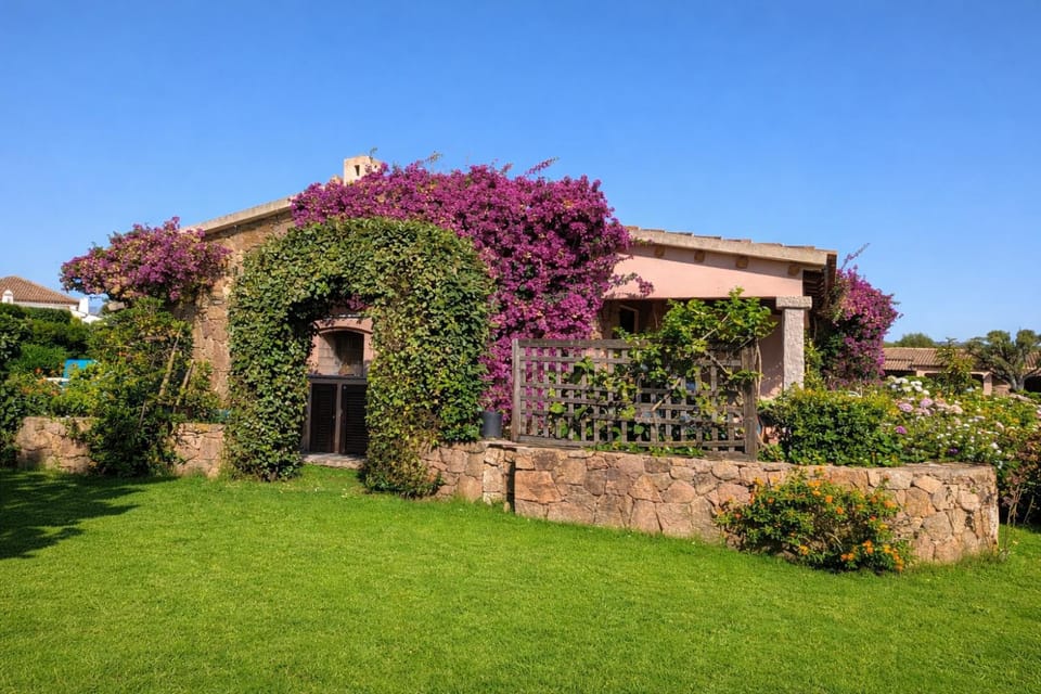 Property building, Day, Garden