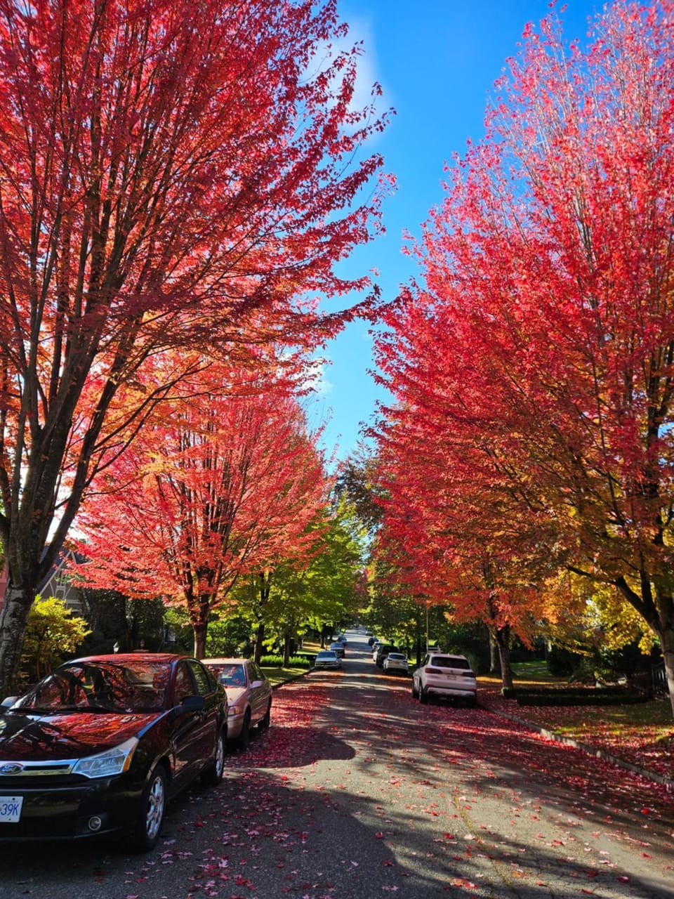 7811 The Solace Vista Villa in Vancouver