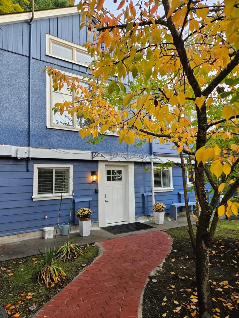 Property building, Garden, Autumn, Garden view