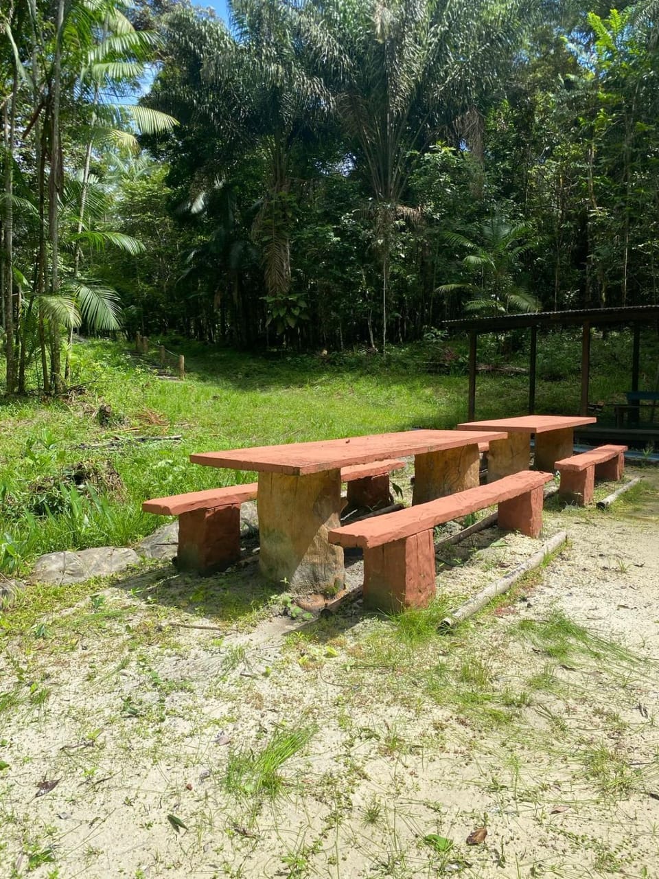 Day, Natural landscape