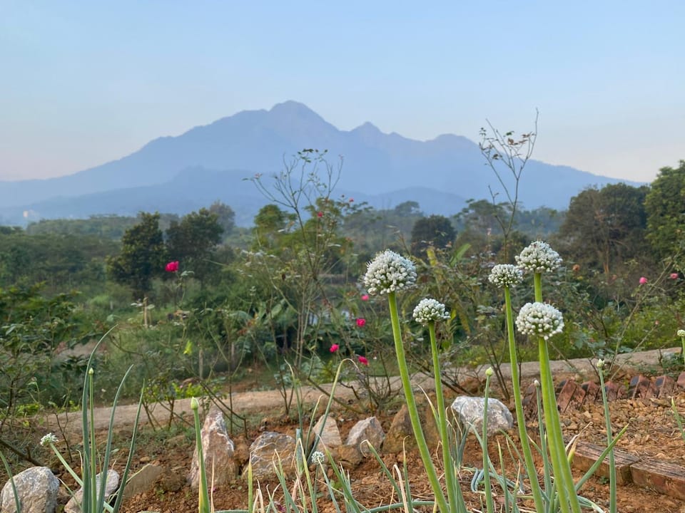 Kame Healing Garden Country House in Hanoi