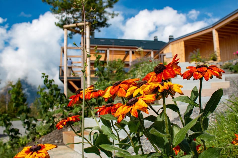 Garden, Garden, Garden view