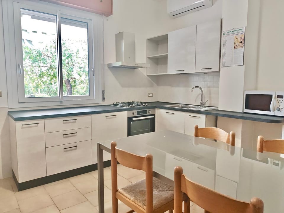 Kitchen or kitchenette, Dining area, oven, stove